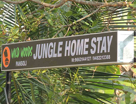 dandeli resort
