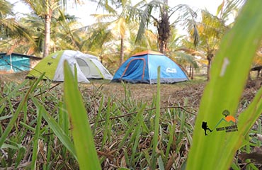 dandeli resort tent stay price