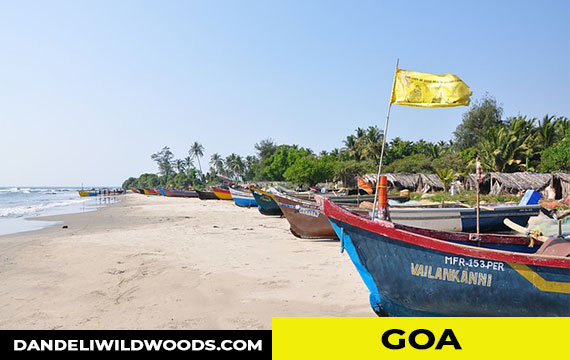 goa place near to dandeli