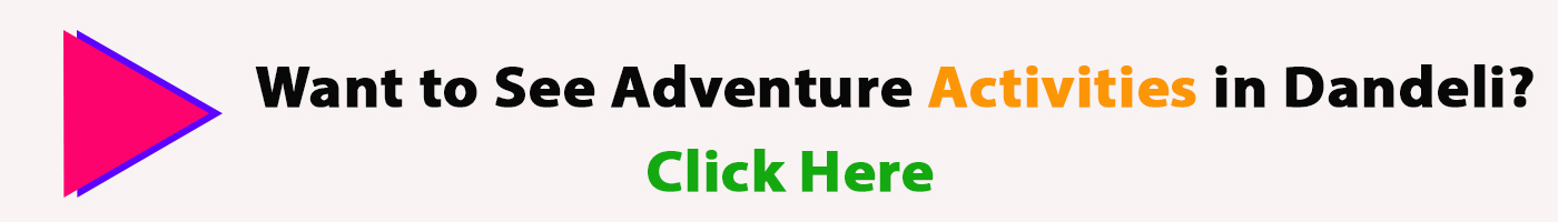 adventure activities in dandeli
